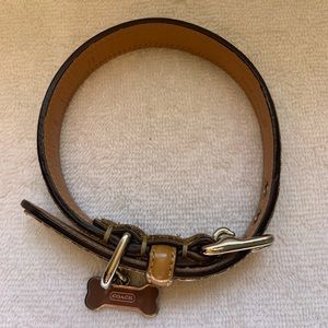 Coach Dog collar S
